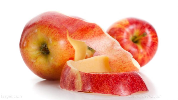 2019 year - Can an Apple a Day Keep Obesity Away 2019 year